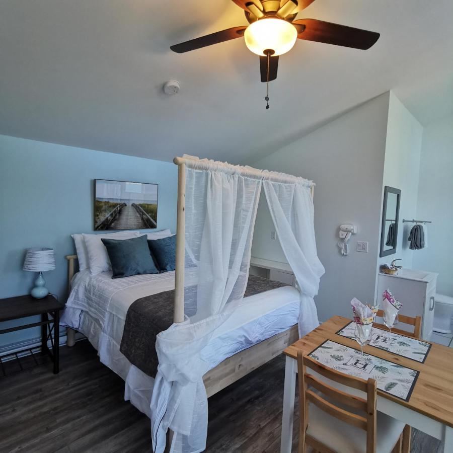 Knotty Pine Ocean Front Suite - Adults Only Ingonish Ngoại thất bức ảnh