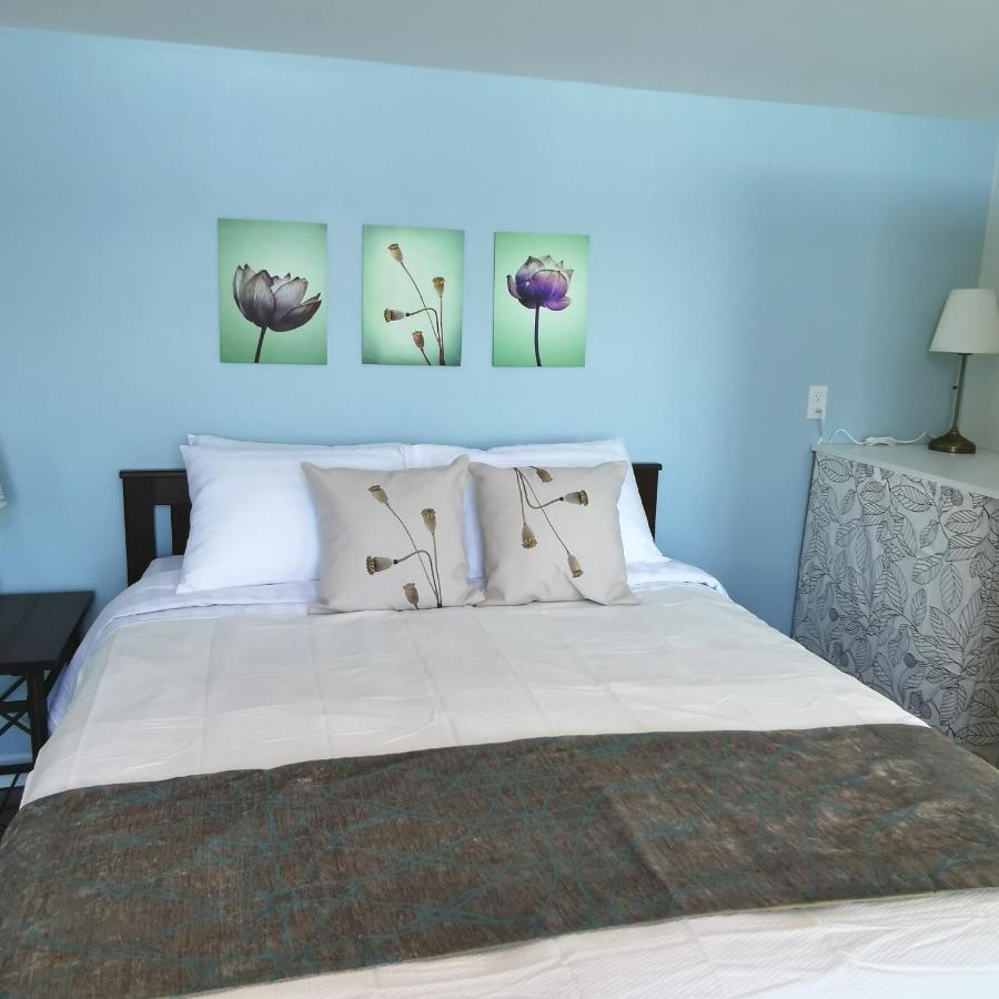 Knotty Pine Ocean Front Suite - Adults Only Ingonish Ngoại thất bức ảnh