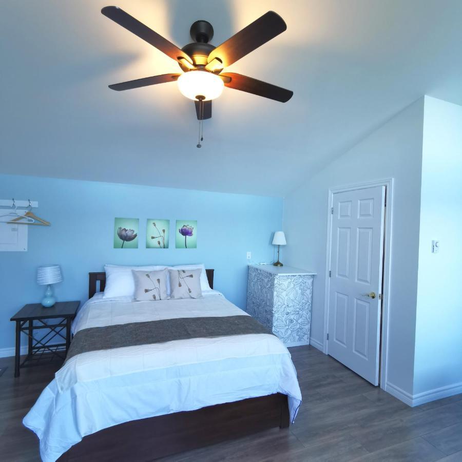 Knotty Pine Ocean Front Suite - Adults Only Ingonish Ngoại thất bức ảnh